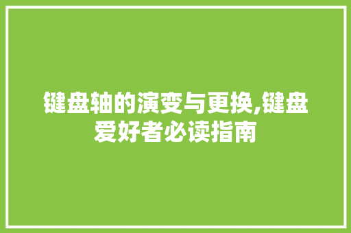 键盘轴的演变与更换,键盘爱好者必读指南 网络技术