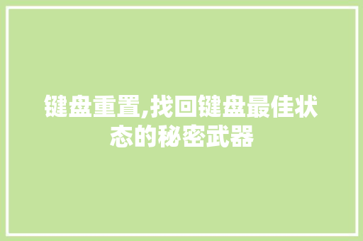 键盘重置,找回键盘最佳状态的秘密武器 网络技术
