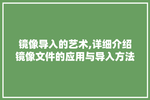 镜像导入的艺术,详细介绍镜像文件的应用与导入方法 网络技术
