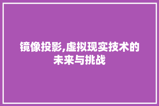 镜像投影,虚拟现实技术的未来与挑战 电脑基础