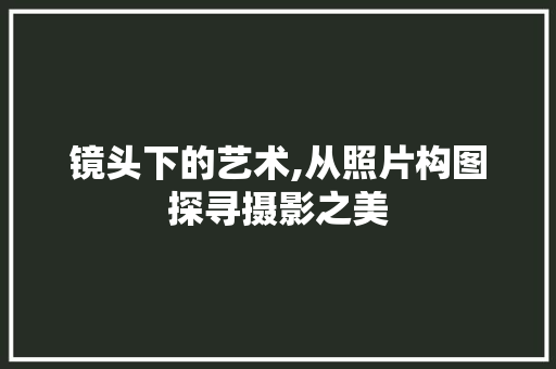 镜头下的艺术,从照片构图探寻摄影之美 网络技术