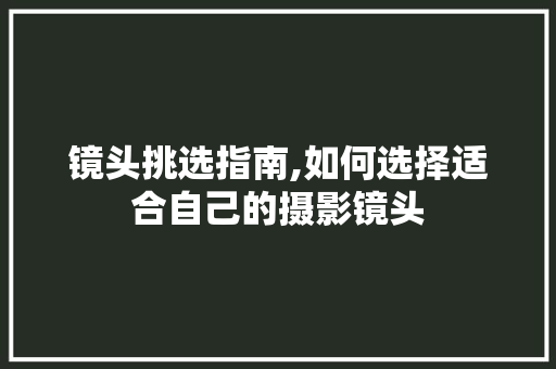 镜头挑选指南,如何选择适合自己的摄影镜头