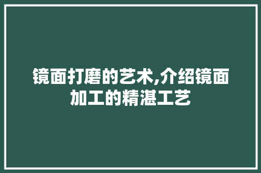 镜面打磨的艺术,介绍镜面加工的精湛工艺