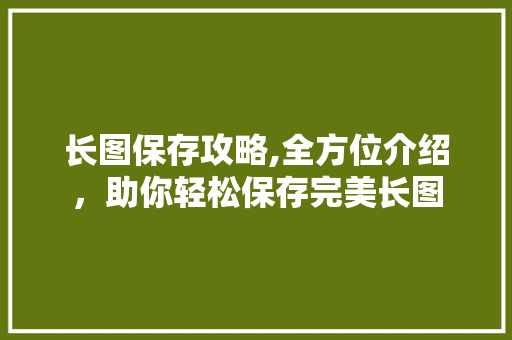 长图保存攻略,全方位介绍，助你轻松保存完美长图