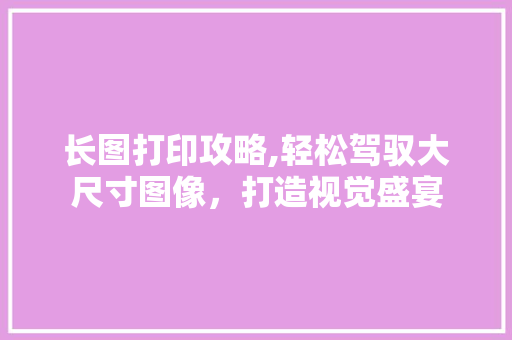 长图打印攻略,轻松驾驭大尺寸图像，打造视觉盛宴 操作系统