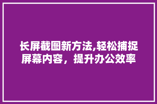 长屏截图新方法,轻松捕捉屏幕内容，提升办公效率 操作系统