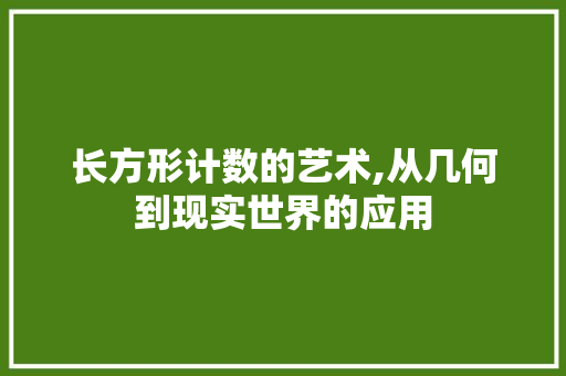 长方形计数的艺术,从几何到现实世界的应用