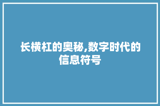 长横杠的奥秘,数字时代的信息符号