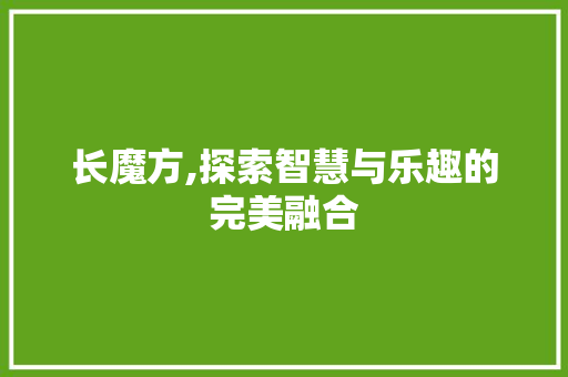 长魔方,探索智慧与乐趣的完美融合 操作系统