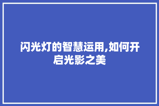 闪光灯的智慧运用,如何开启光影之美