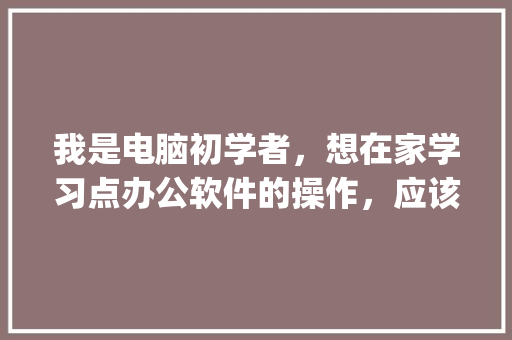 我是电脑初学者，想在家学习点办公软件的操作，应该怎么从何学起_电脑基础知识与操作视频