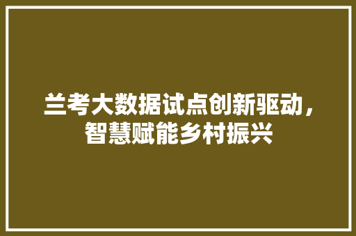 兰考大数据试点创新驱动，智慧赋能乡村振兴