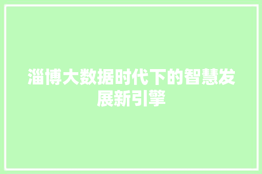 淄博大数据时代下的智慧发展新引擎