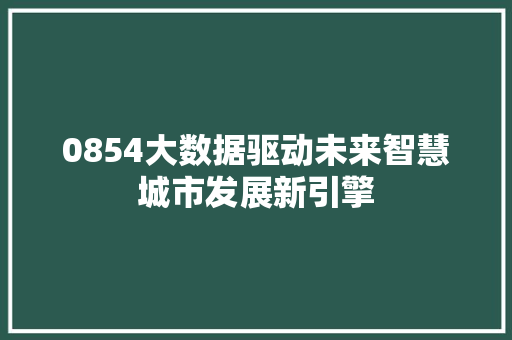 0854大数据驱动未来智慧城市发展新引擎 电脑配置