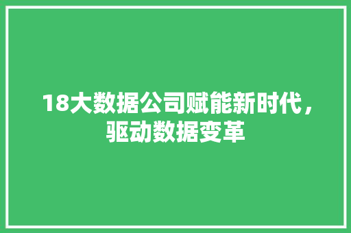 18大数据公司赋能新时代，驱动数据变革 电脑基础