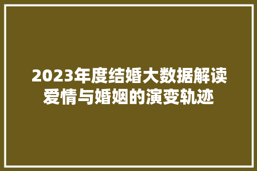 2023年度结婚大数据解读爱情与婚姻的演变轨迹