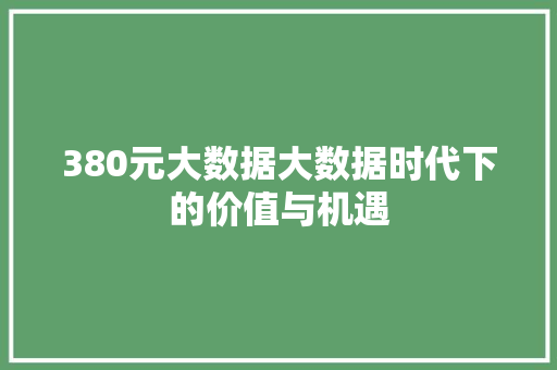 380元大数据大数据时代下的价值与机遇
