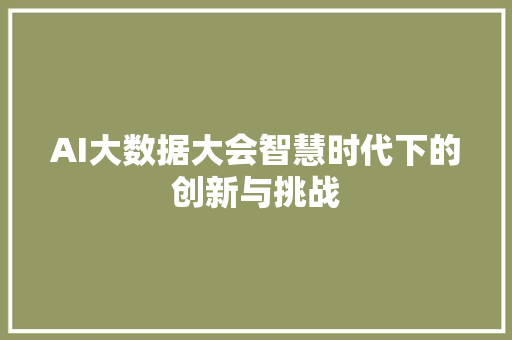 AI大数据大会智慧时代下的创新与挑战 编程语言