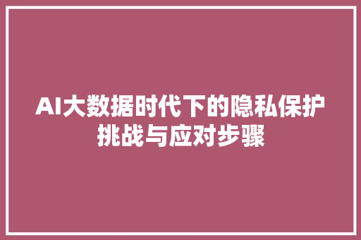 AI大数据时代下的隐私保护挑战与应对步骤 AI大数据时代下的隐私保护挑战与应对步骤