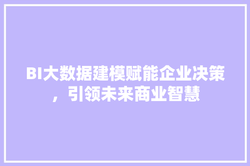 BI大数据建模赋能企业决策，引领未来商业智慧