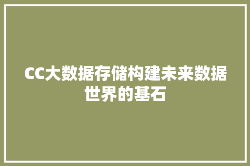 CC大数据存储构建未来数据世界的基石