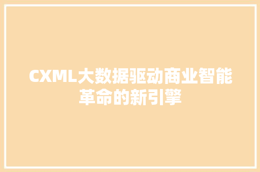 CXML大数据驱动商业智能革命的新引擎