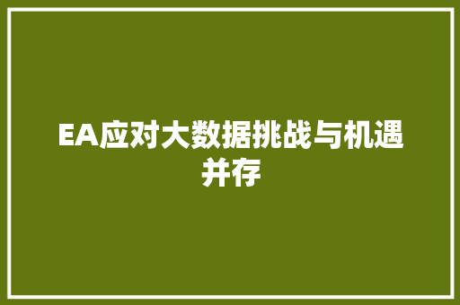 EA应对大数据挑战与机遇并存