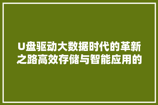 U盘驱动大数据时代的革新之路高效存储与智能应用的融合