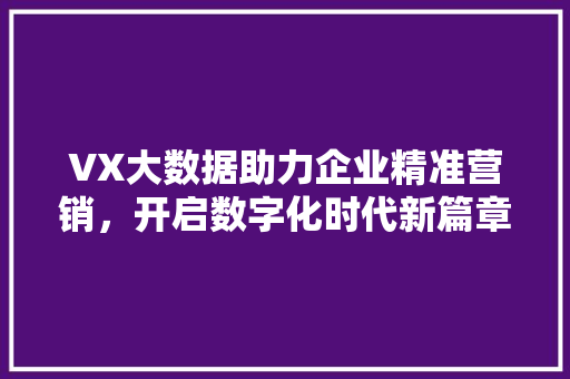 VX大数据助力企业精准营销，开启数字化时代新篇章 操作系统