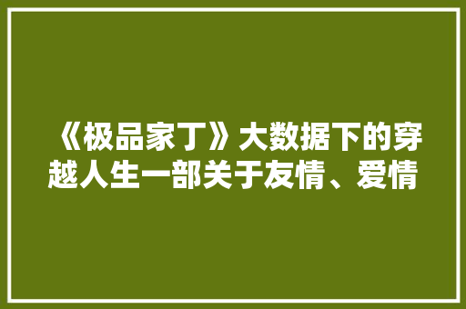 《极品家丁》大数据下的穿越人生一部关于友情、爱情与梦想的传奇 编程语言 《极品家丁》大数据下的穿越人生一部关于友情、爱情与梦想的传奇 编程语言