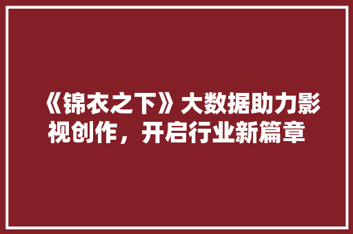 《锦衣之下》大数据助力影视创作，开启行业新篇章