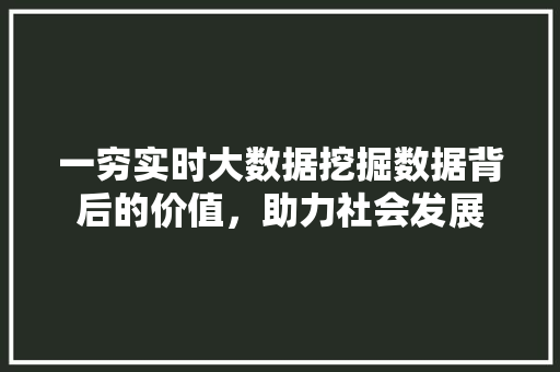一穷实时大数据挖掘数据背后的价值，助力社会发展