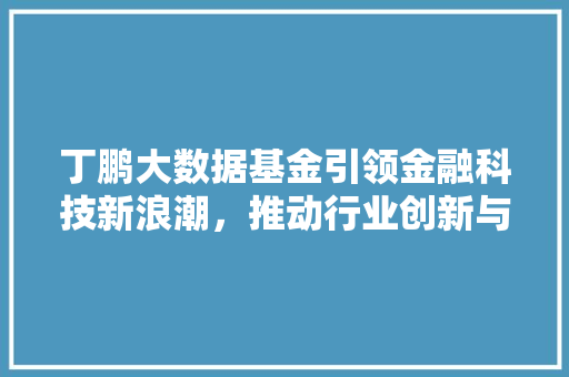 丁鹏大数据基金引领金融科技新浪潮，推动行业创新与发展