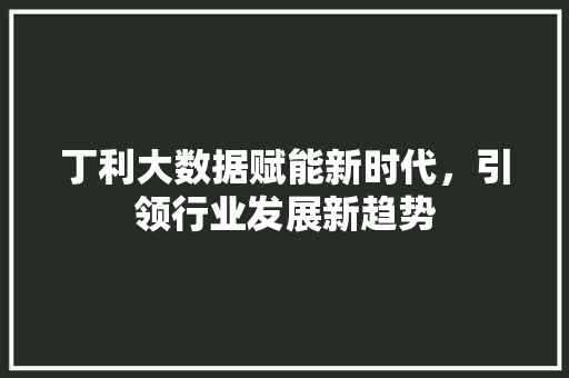 丁利大数据赋能新时代，引领行业发展新趋势 电脑配置