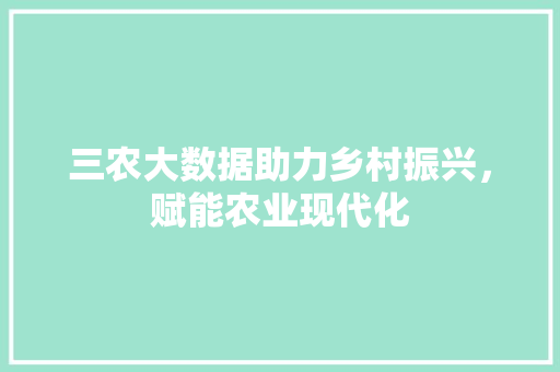 三农大数据助力乡村振兴，赋能农业现代化 编程语言