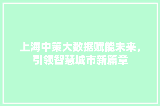 上海中策大数据赋能未来,引领智慧城市新篇章 上海中策大数据赋能未来,引领智慧城市新篇章