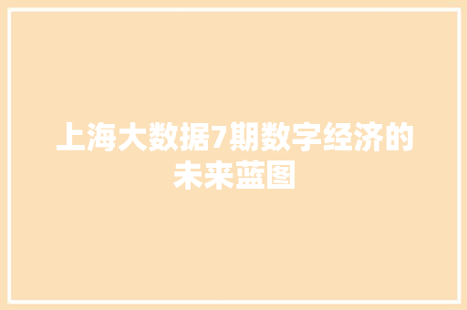 上海大数据7期数字经济的未来蓝图
