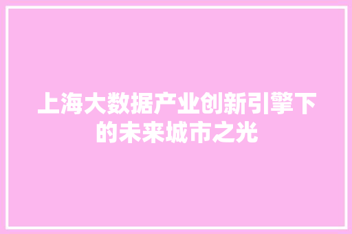 上海大数据产业创新引擎下的未来城市之光