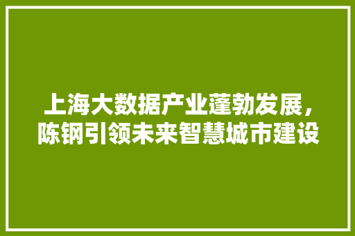 上海大数据产业蓬勃发展，陈钢引领未来智慧城市建设 电脑故障维修