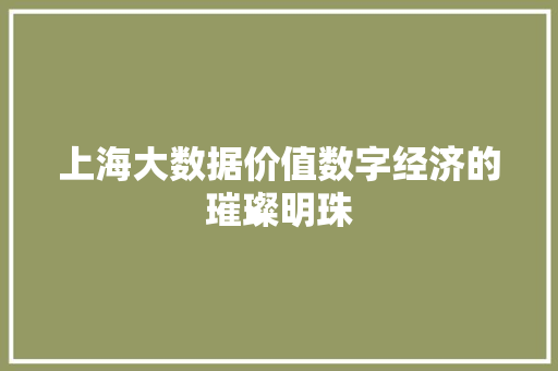 上海大数据价值数字经济的璀璨明珠 操作系统