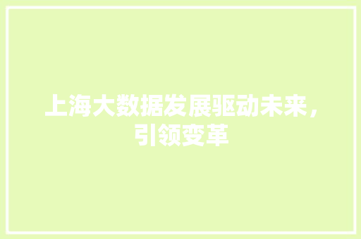 上海大数据发展驱动未来，引领变革