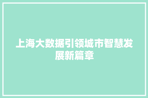 上海大数据引领城市智慧发展新篇章 电脑基础