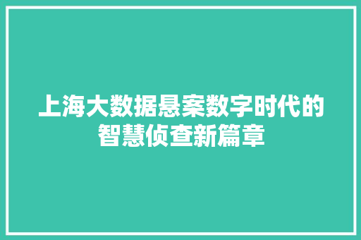 上海大数据悬案数字时代的智慧侦查新篇章 上海大数据悬案数字时代的智慧侦查新篇章