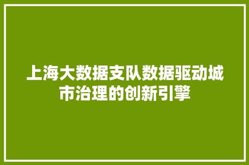 上海大数据支队数据驱动城市治理的创新引擎 上海大数据支队数据驱动城市治理的创新引擎