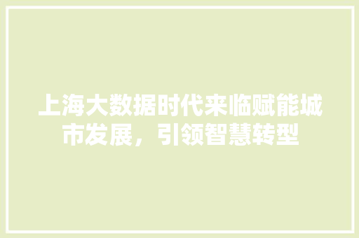 上海大数据时代来临赋能城市发展,引领智慧转型 上海大数据时代来临赋能城市发展,引领智慧转型