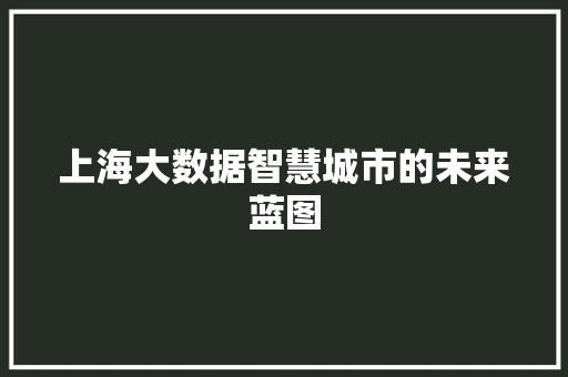上海大数据智慧城市的未来蓝图