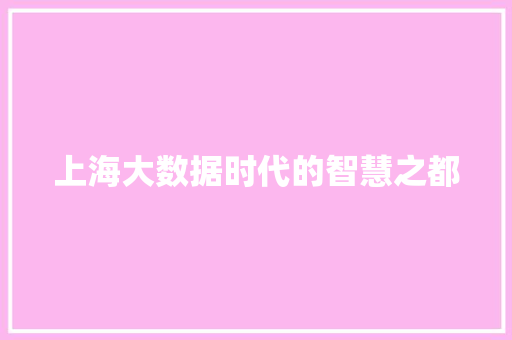 上海大数据时代的智慧之都 上海大数据时代的智慧之都