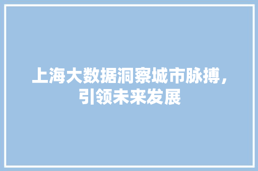 上海大数据洞察城市脉搏,引领未来发展 上海大数据洞察城市脉搏,引领未来发展