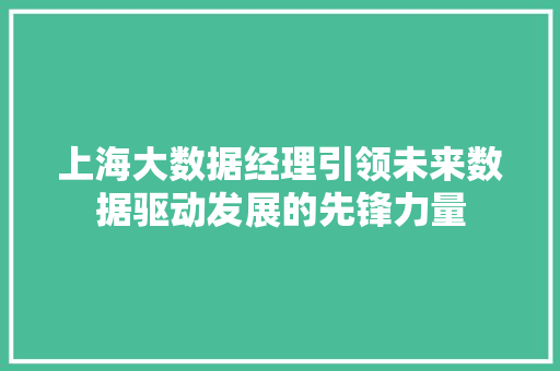 上海大数据经理引领未来数据驱动发展的先锋力量