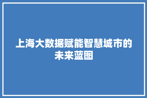 上海大数据赋能智慧城市的未来蓝图